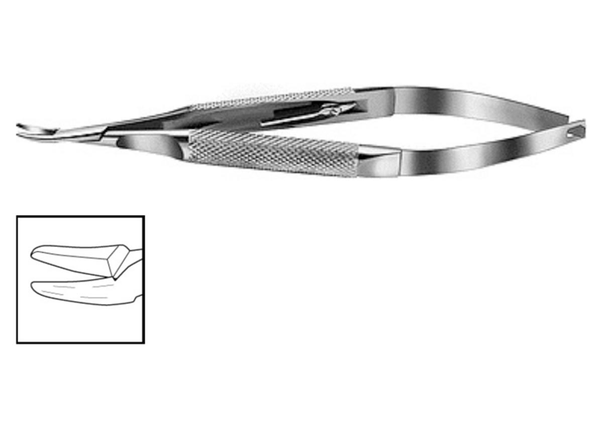 Hampton Needle Holder - with Lock Z - 3726