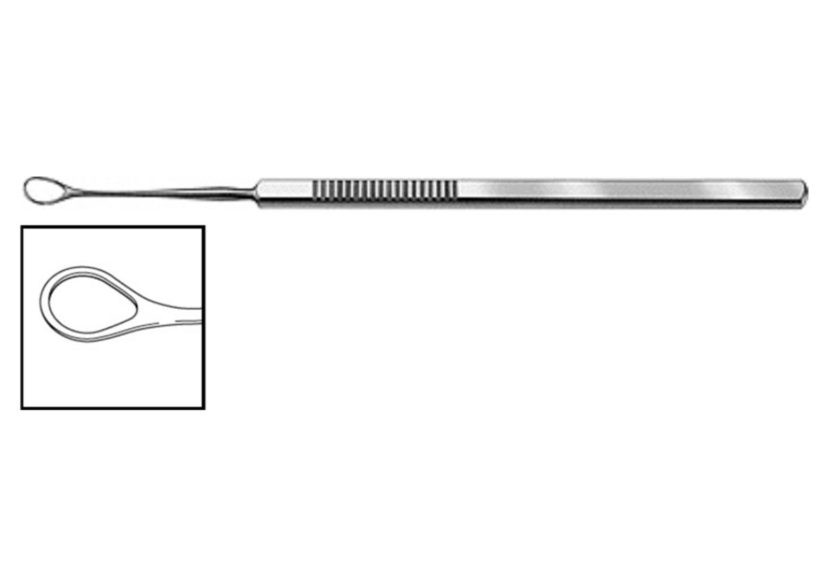 Lewis Lens Loop Z - 0548