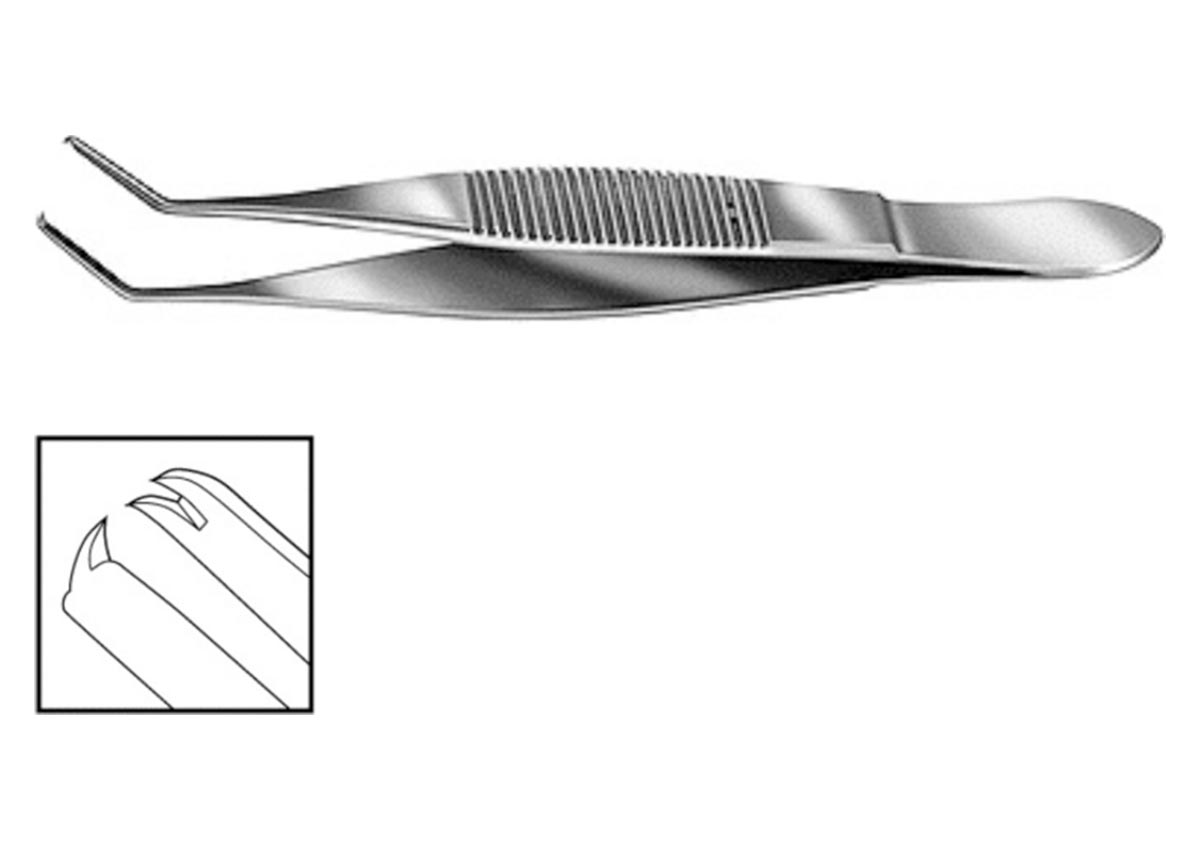 Troutman Superior Rectus Forceps Z - 1586