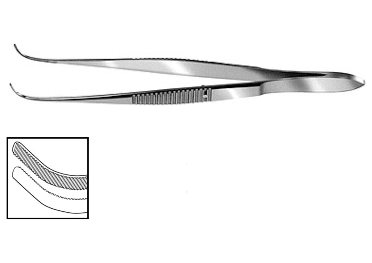 Curved Dressing Forceps with Serrations Z - 1308