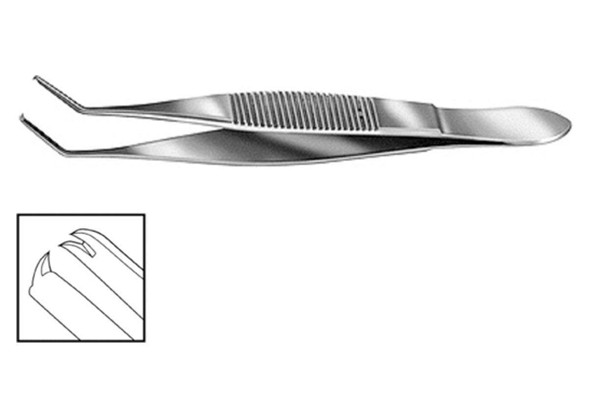 Troutman Superior Rectus Forceps Z - 1586