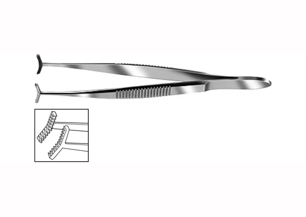 Green Fixation Forceps Z - 1500