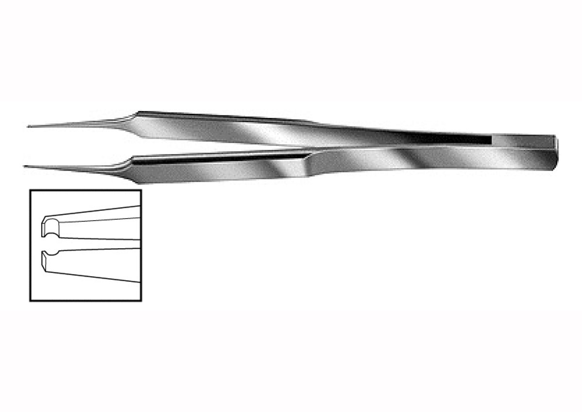 Pierse Type Fine Forceps Z - 1842 11