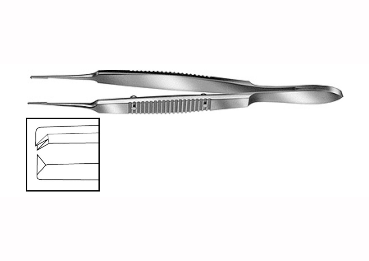 ZABBY?S-Bonn Forceps ZT - 1711