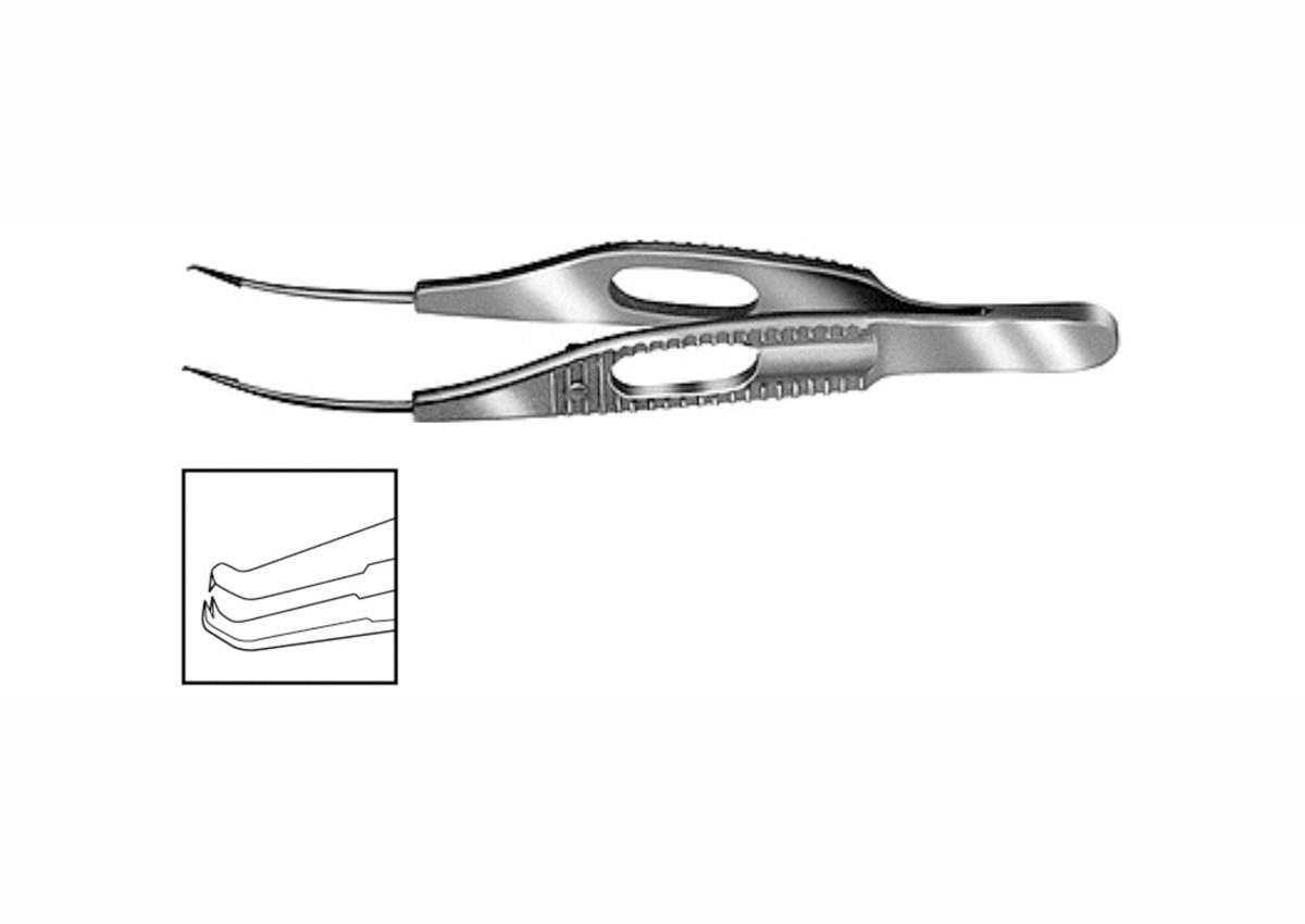 Harms Corneal Utility Forceps, Colibri Style  Z -3104