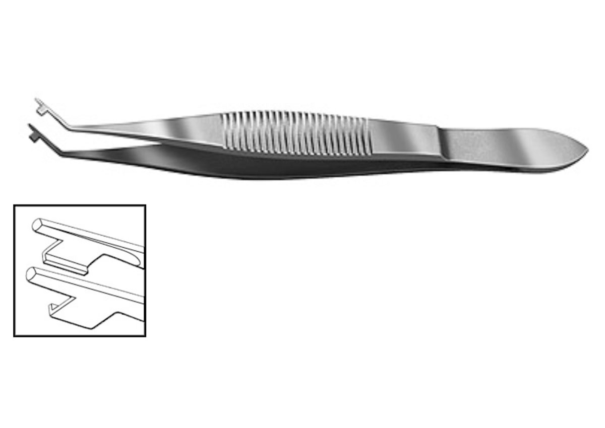 Steinert Folding Forceps  Z - T2804