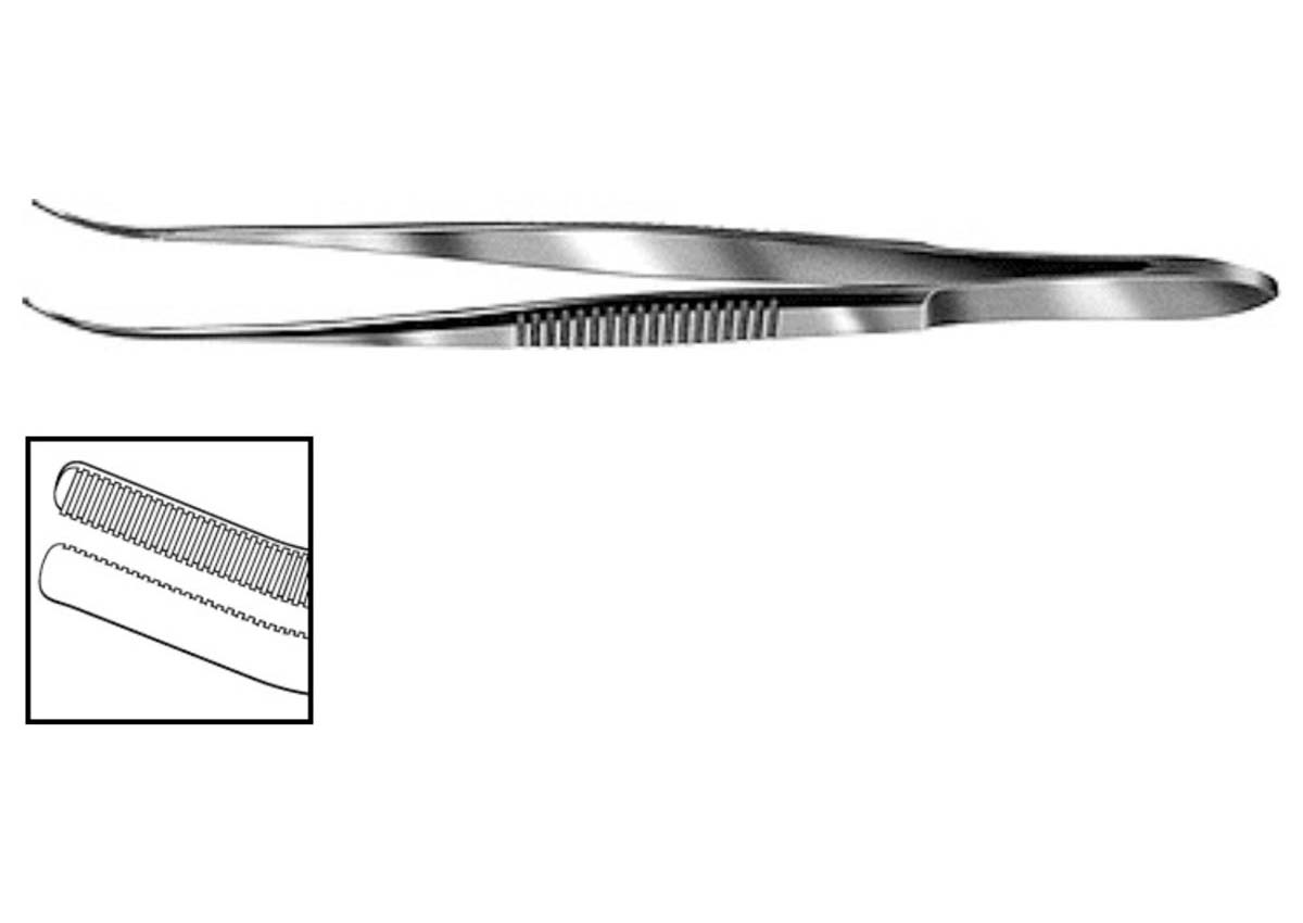 Curved Dressing Forceps with Serrations Z - 1308