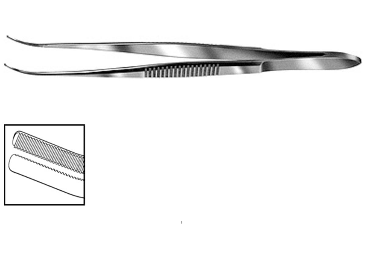 Curved Dressing Forceps with Serrations Z - 1310
