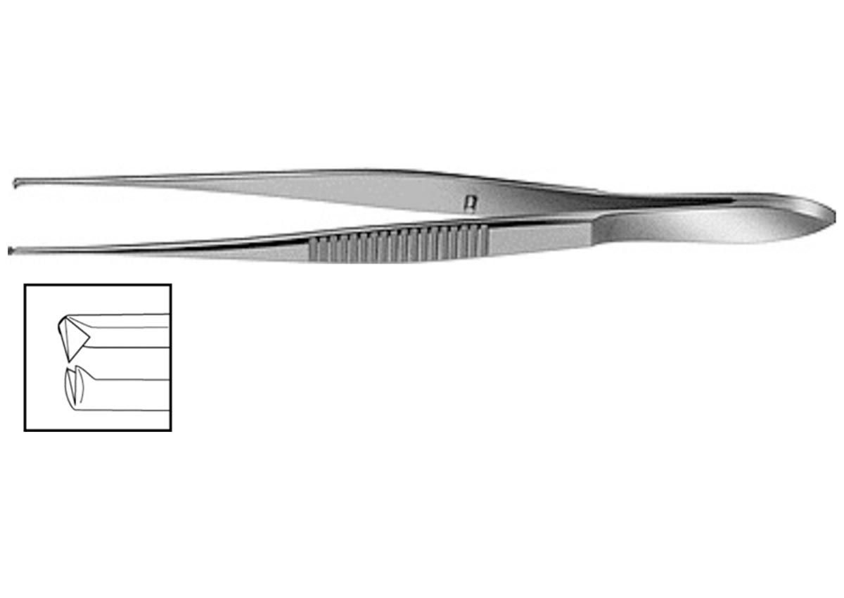 Straight Tissue Forceps Z - 1320