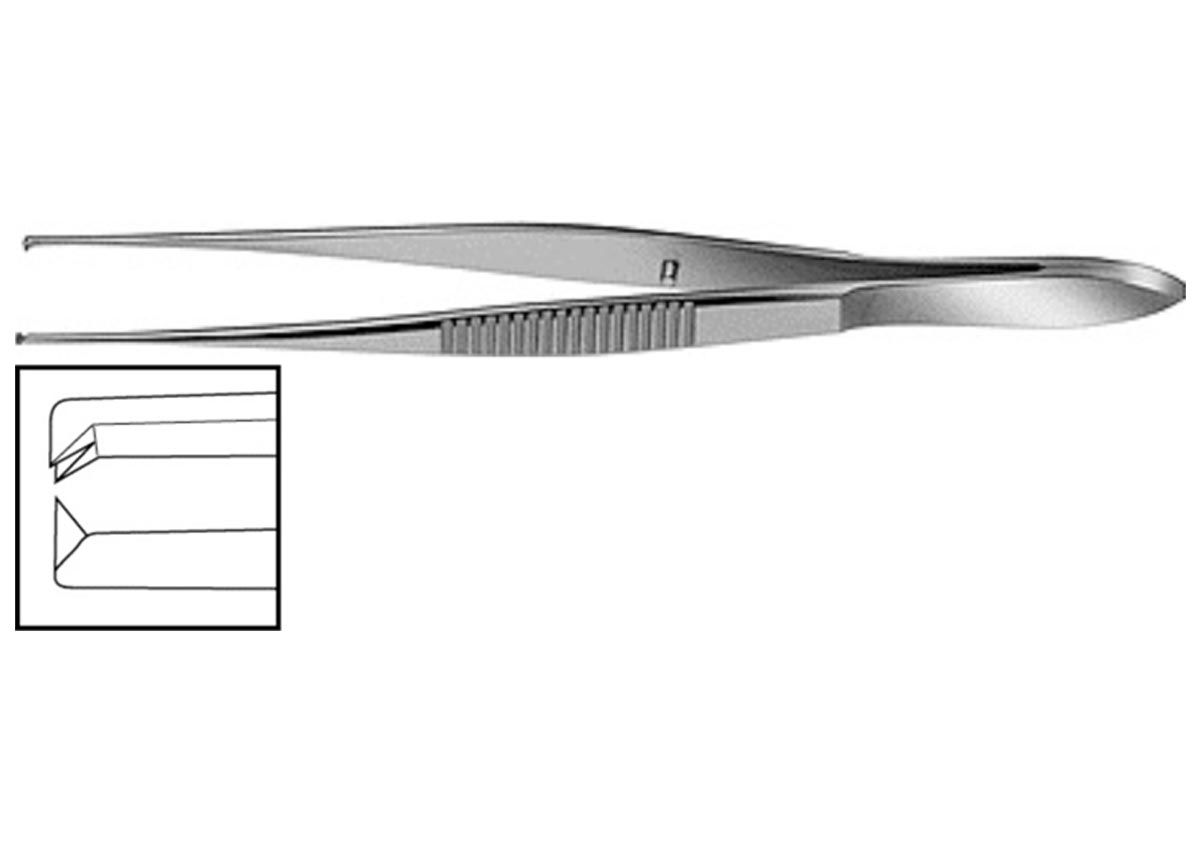 Straight Tissue Forceps Z - 1322