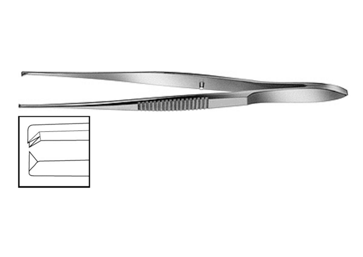 Straight Tissue Forceps - Z - 6664