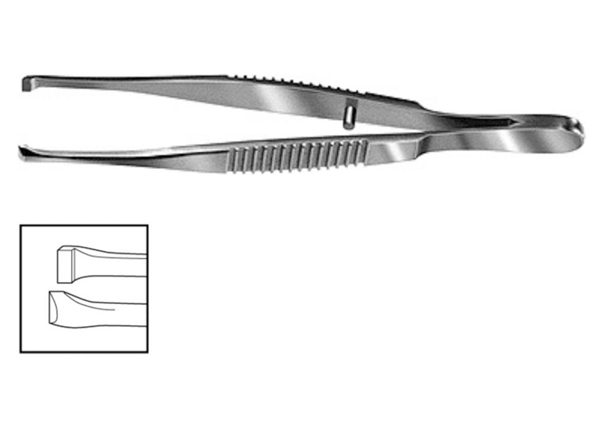 ZABBY?S Cilia Forceps - Wide Z - 2056