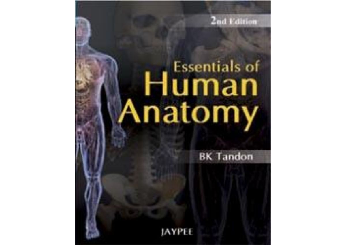 Essentials of Human Anatomy