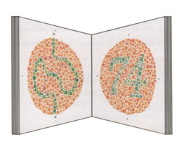 ZABBYS ISHIHARA TYPE COLOUR VISION TEST BOOK